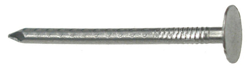 MIAN